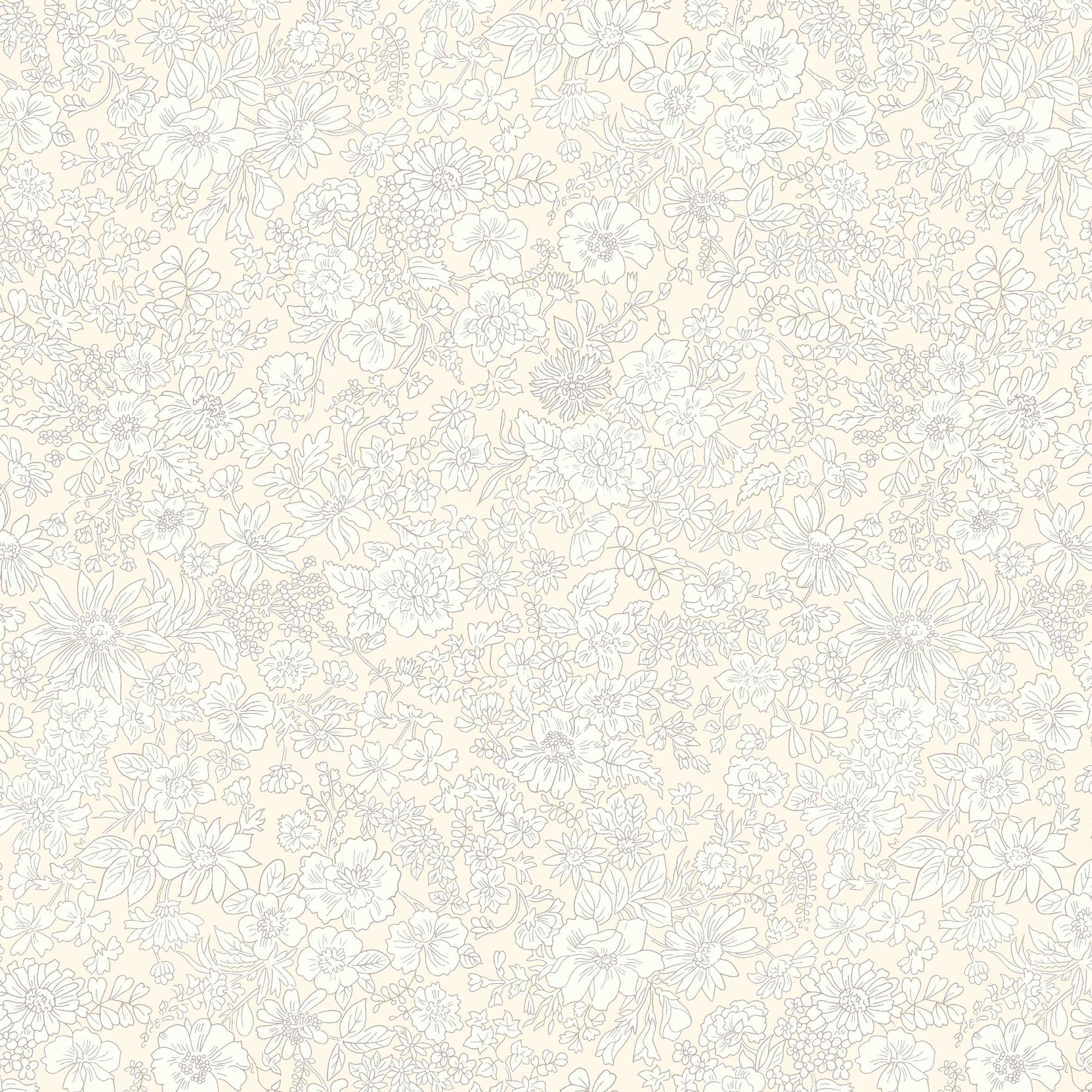 17_COTTON.jpg
