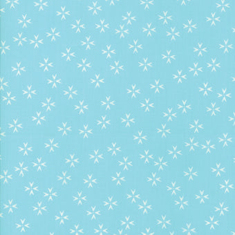 Print - The Front Porch Print 6 - 0.5yd