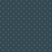 Beneath The Western Sky