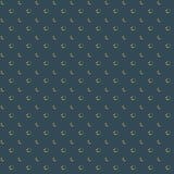 Print - Beneath The Western Sky Print 1 - 0.5yd