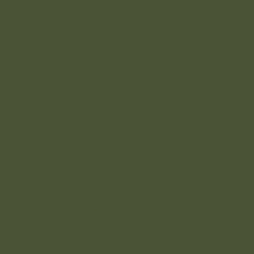 Confetti Cottons - Chive - 0.5yd