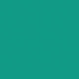 Confetti Cottons - Rainforest - 0.5yd