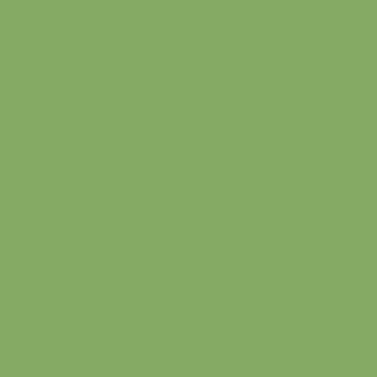 Confetti Cottons - Riley Green - 0.5yd