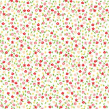 Print - Vintage Adventure Print 4 - 0.5yd