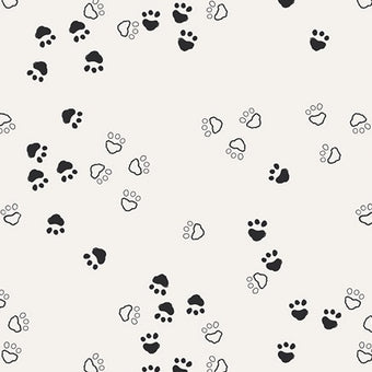 Print - Curious Paws - 0.5yd