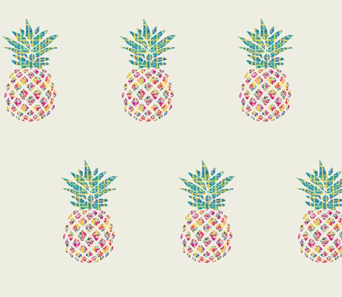 HLS-66952-Pina-Colada_500px-500x434_2b12bbc6-7e4a-4511-b123-1b5401f97f04.jpg
