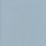 Bella Solids - Platinum - 0.5yd