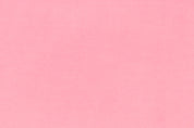 Solid Cuddle - Dusty Rose - 0.5yd
