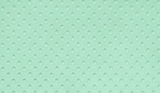 Dimple Cuddle - Honeydew - 0.5yd