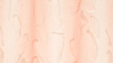 Angora Luxe Cuddle - Shell - 0.5yd