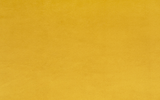 Solid Cuddle - Gold - 0.5yd