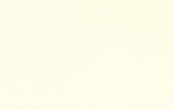 Solid Cuddle - Ivory - 0.5yd