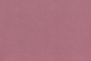 Solid Cuddle - Wild Rose - 0.5yd